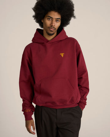 Eterna Hoodie x Limited Edition