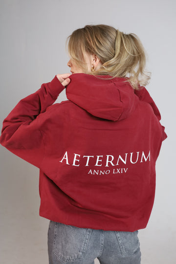 LEGACY HOODIE (LIMITED EDITION)