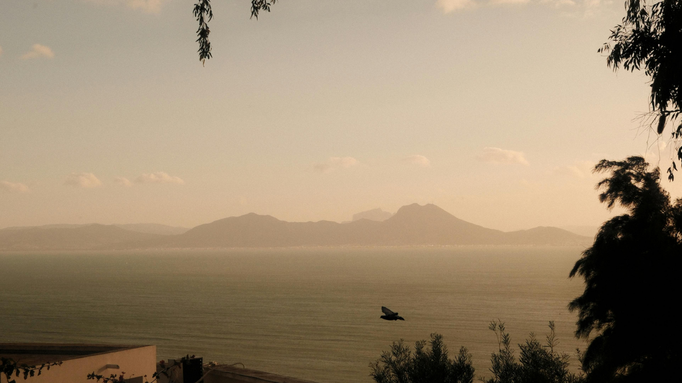 collection-banner-image